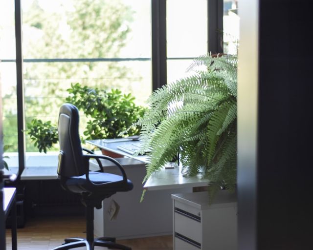 Co-Working Spaces