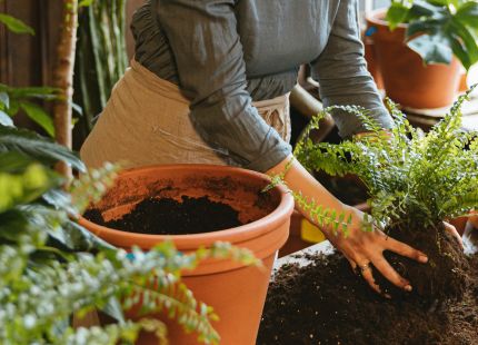 Artificial hedging for year round impact