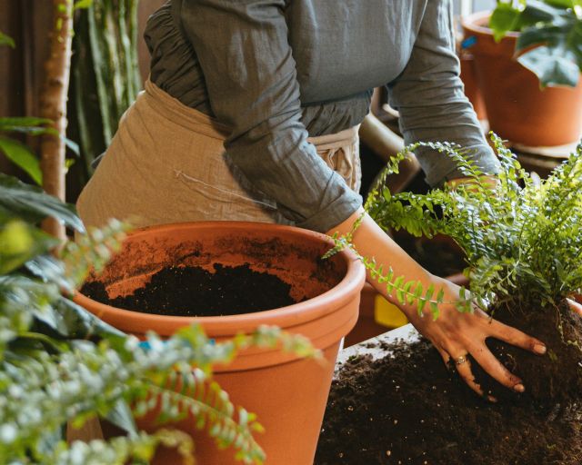 Plant Maintenance & Servicing