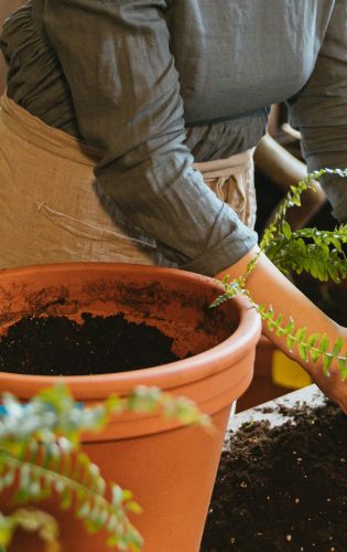 Artificial hedging for year round impact