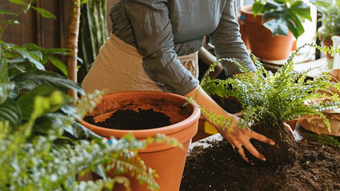 Artificial hedging for year round impact