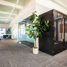 Riverside House Office Planting