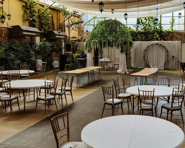Interior Planting