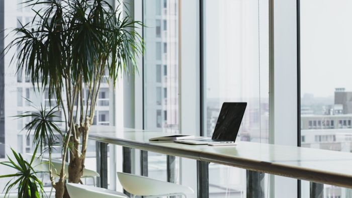 Low maintenance greenery for busy venues