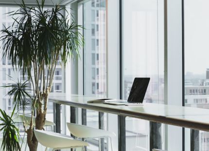 Low maintenance greenery for busy venues