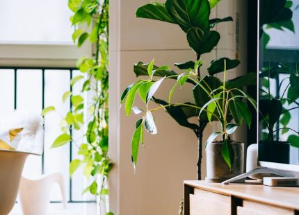 Why artificial foliage fools the eye