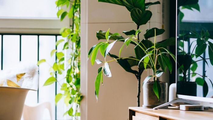 Why artificial foliage fools the eye