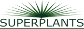 Superplants