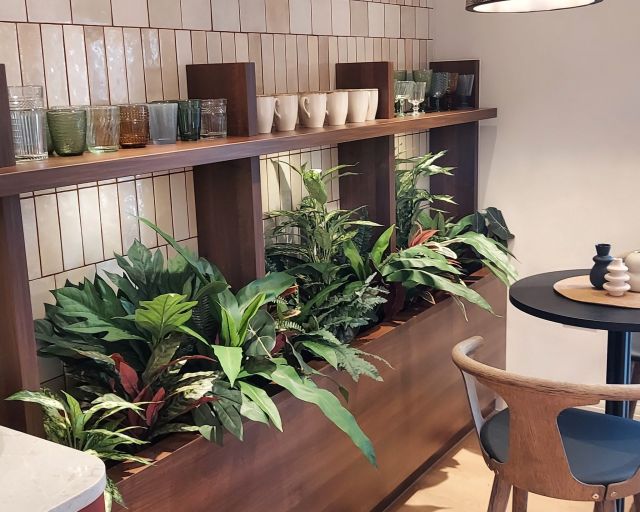 Artificial Plants & Displays