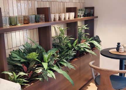 Artifical Planting