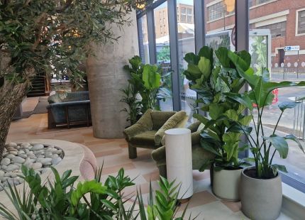 Kibre Ltd Planting Scheme for a Hotel Style Lobby