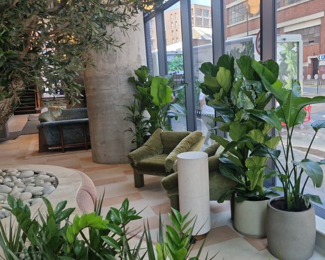 Interior Planting