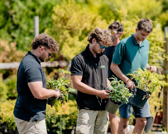 Exterior Planting