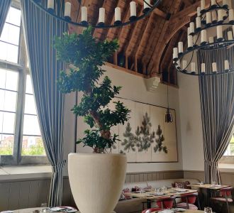 Statment Planting at The Clockspire Restaurant