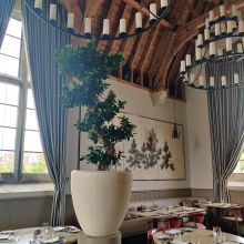 Statment Planting at The Clockspire Restaurant